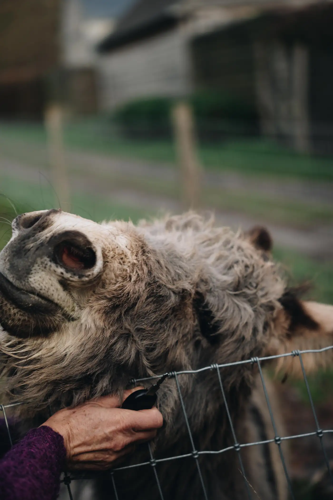 Cottage for 2 people in Gesves Les Cabanes des Pierreux : Ralf
